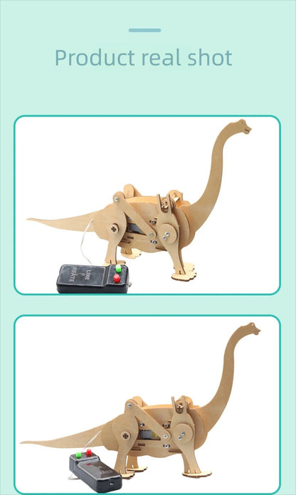 Juguetes científicos DIY para niños, Kits de vástago educativos, modelo de dinosaurio, herramienta Experimental de técnica, juegos de rompecabezas de madera, suministros escolares - Drop4u